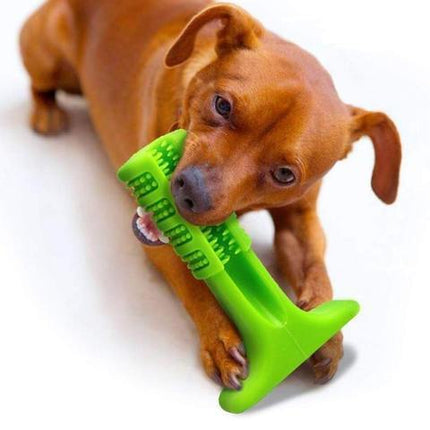 Dog Toothbrush | Effective Oral Hygiene | Self-Cleaning Design | Liquid Silicone | Comfortable Grip | Dental Care Solution for Pets | Available in Multiple Colors and Sizes | Ideal for Dogs of All Sizes