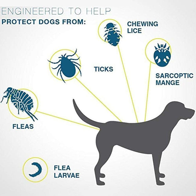 SafeGuard | Adjustable Waterproof Flea Tick Collar for Dogs & Cats | 8 Months Chemical-Free Protection | Comfortable Fit | Active Pets