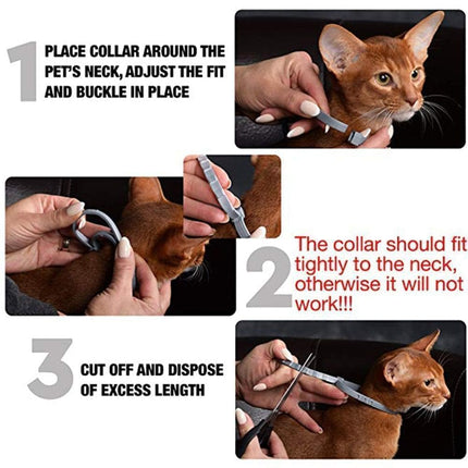 SafeGuard | Adjustable Waterproof Flea Tick Collar for Dogs & Cats | 8 Months Chemical-Free Protection | Comfortable Fit | Active Pets