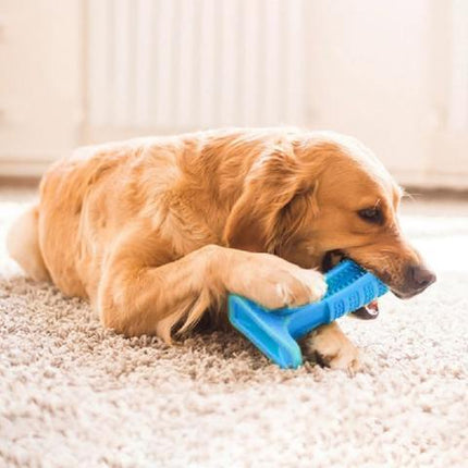Dog Toothbrush | Effective Oral Hygiene | Self-Cleaning Design | Liquid Silicone | Comfortable Grip | Dental Care Solution for Pets | Available in Multiple Colors and Sizes | Ideal for Dogs of All Sizes