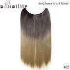 Dark Brown to Ash Blonde