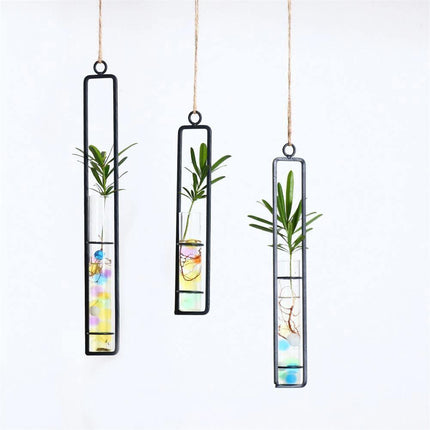 Hanging Glass & Iron Plant Propagation Terrariums | Minimalist Style | Includes Rope | Small 8.5" | Medium 10.5" | Large 12.5"