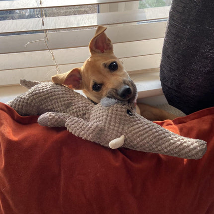 Indestructible Chew Companion for Aggressive Dogs | Durable, Eco-Friendly | Interactive Play & Dental Care | Suitable for All Dog Sizes