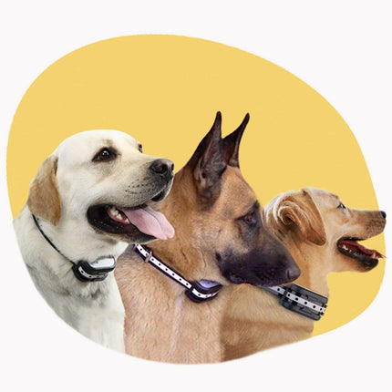SafeZone Wireless Dog Boundary Collar | Animal-Friendly Training & Correction | Rechargeable & Water Resistant | 500m Range