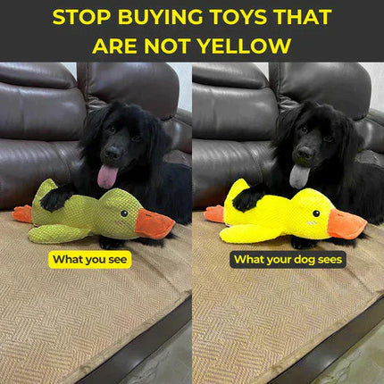 Soft Plush Duck Companion | Anxiety-Reducing Squeaker Toy for Dogs | Calming Cuddly Playmate