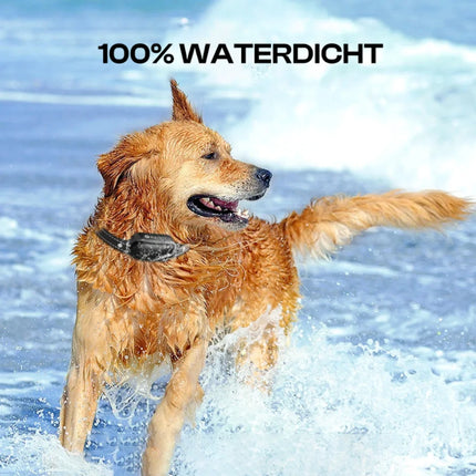 Rojeco Waterproof Dog Training Collar | 1000m Range Remote | Beep, Vibration & Shock Modes | Adjustable Intensity | Long Battery Life | Suitable for All Dog Sizes