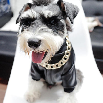 Gold Plated Stylish Pet Chain Collar | Hip-Hop Design | Durable Plastic | Multiple Sizes | Trendy & Lightweight | Comfortable Fit | Enhances Pet Elegance | Various Colors Available