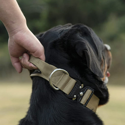Durable Military-Grade Nylon Dog Collar with Control Handle | Quick Release Buckle | Heavy-Duty for Strong Breeds | Ideal for Training & Hiking