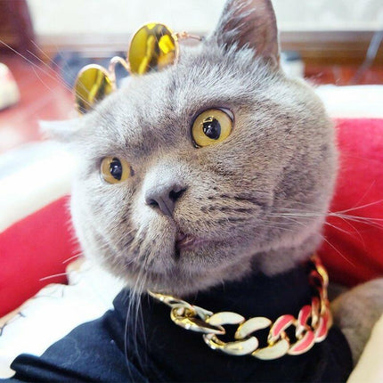Gold Plated Stylish Pet Chain Collar | Hip-Hop Design | Durable Plastic | Multiple Sizes | Trendy & Lightweight | Comfortable Fit | Enhances Pet Elegance | Various Colors Available