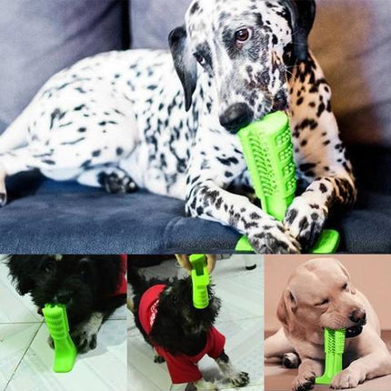 Dog Toothbrush | Effective Oral Hygiene | Self-Cleaning Design | Liquid Silicone | Comfortable Grip | Dental Care Solution for Pets | Available in Multiple Colors and Sizes | Ideal for Dogs of All Sizes