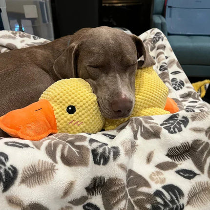 Soft Plush Duck Companion | Anxiety-Reducing Squeaker Toy for Dogs | Calming Cuddly Playmate