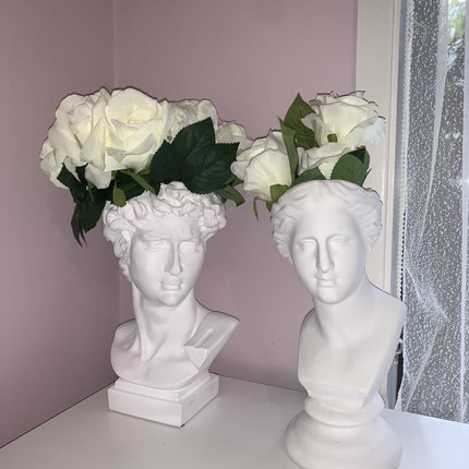 Roman Head Planter Sculptures | Resin Decorative Statue | Ancient Design Pottery | Unique Home & Office Decor | Greco-Roman Themed Flower Pot | 6 Design Options | Plant Vessels | Figurine Ornaments