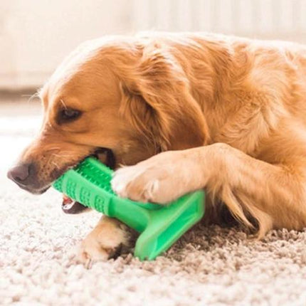 Dog Toothbrush | Effective Oral Hygiene | Self-Cleaning Design | Liquid Silicone | Comfortable Grip | Dental Care Solution for Pets | Available in Multiple Colors and Sizes | Ideal for Dogs of All Sizes