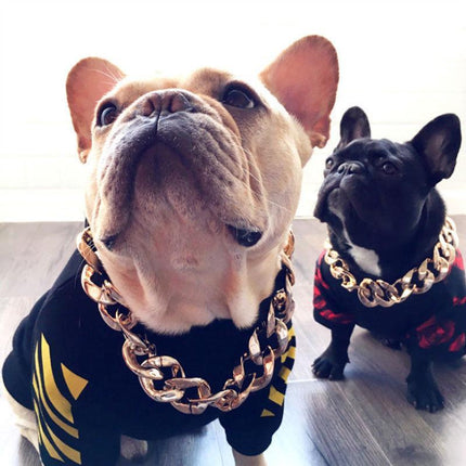 Gold Plated Stylish Pet Chain Collar | Hip-Hop Design | Durable Plastic | Multiple Sizes | Trendy & Lightweight | Comfortable Fit | Enhances Pet Elegance | Various Colors Available