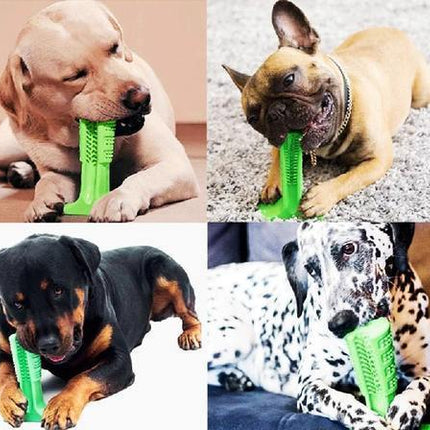 Dog Toothbrush | Effective Oral Hygiene | Self-Cleaning Design | Liquid Silicone | Comfortable Grip | Dental Care Solution for Pets | Available in Multiple Colors and Sizes | Ideal for Dogs of All Sizes