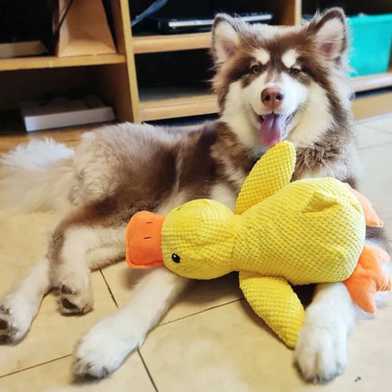 Soft Plush Duck Companion | Anxiety-Reducing Squeaker Toy for Dogs | Calming Cuddly Playmate