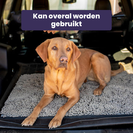 CleanPaw Mat | Absorbent Dog Paw Cleaner | Non-Slip Durable Floor Protection | Easy Machine Wash | Mud & Dirt Free Home