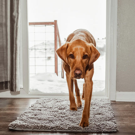 CleanPaw Mat | Absorbent Dog Paw Cleaner | Non-Slip Durable Floor Protection | Easy Machine Wash | Mud & Dirt Free Home