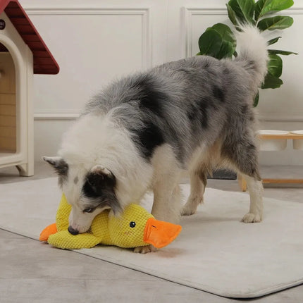 Soft Plush Duck Companion | Anxiety-Reducing Squeaker Toy for Dogs | Calming Cuddly Playmate