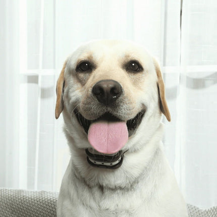 SafeZone Wireless Dog Boundary Collar | Animal-Friendly Training & Correction | Rechargeable & Water Resistant | 500m Range
