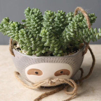 Sloth-Shaped Wall Hanging Ceramic Planter | Decorative Succulent Holder for Indoor Spaces | Gray & Yellow Ornament | Unique Gift Idea | Cute Animal Design for Living Room, Bedroom, Nursery