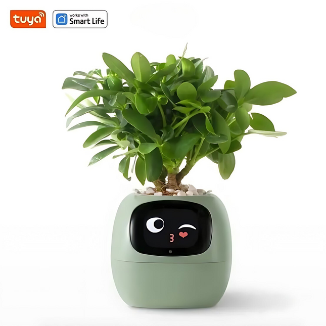 PlantPal™ | Automatic Watering Flower Pot | Modern Design | Large Capacity | Durable Plastic | Multi-Color Options