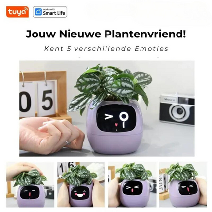 PlantPal™ | Automatic Watering Flower Pot | Modern Design | Large Capacity | Durable Plastic | Multi-Color Options