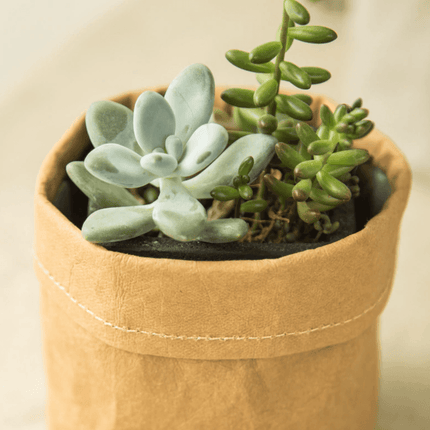 Boho-Inspired Cloth Planter Basket | Rustic Waterproof Muslin | Adjustable Rim Height | Protective PE Lining | Easy to Clean | Versatile for Plants or Storage | Small, Medium, Large Options