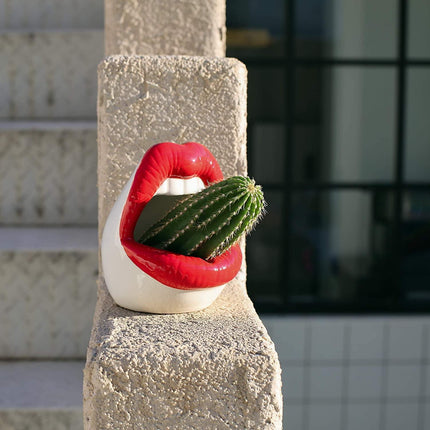 Ceramic Planter with Pouty Lips Design | Fun & Whimsical | Red, Pink, Purple | Durable & Handmade | Heat Resistant & Windproof | Indoor Decoration for Home or Office | Gift Idea | 12x6 cm | 1 Piece