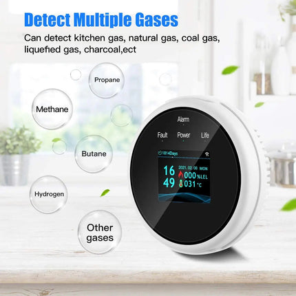 Combustible Gas Detector Alarm | LCD Display | Mobile App Alerts | Real-Time Gas Readings | Methane, Butane, Propane Detection | Clock & Temp Display | Sleek Design | Easy Install | Home Guardian - Noustia