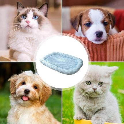 Ice-Silk Cooling Pet Bed | Advanced Ice Silk Fabric | Absorbs and Disperses Heat | Machine Washable | Lightweight Comfort for Pets | Provides a Cool Surface for Hot Days | Keeps Dogs Refreshed and Comfortable