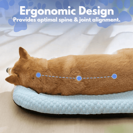 Ice-Silk Cooling Pet Bed | Advanced Ice Silk Fabric | Absorbs and Disperses Heat | Machine Washable | Lightweight Comfort for Pets | Provides a Cool Surface for Hot Days | Keeps Dogs Refreshed and Comfortable