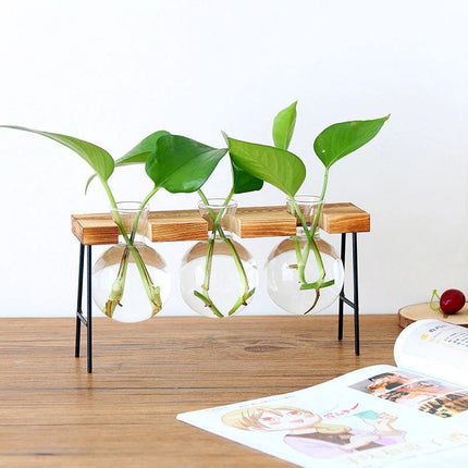Handcrafted Glass Propagation Station | Iron & Wood Stand | Transparent Vase for Plant Growth | Elegant Home & Office Decor | Perfect for Flowers, Weddings, and Events | Easy Assembly | Multiple Sizes