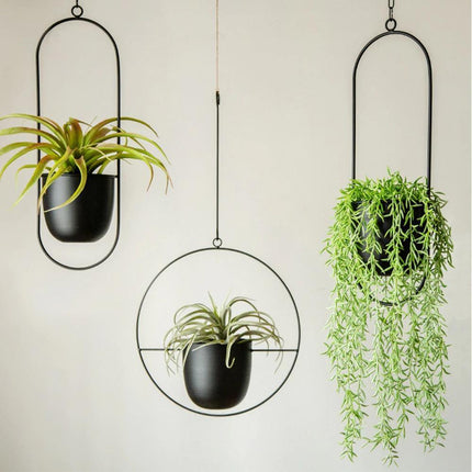 Durable Halo Iron Hanging Planter | Inky Black or Gold | Circular or Oblong Shape | Modern Indoor/Outdoor Decor | Includes Metal Chain & Hardware | Minimalist Design for Plants