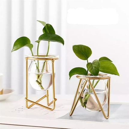Modern Glass Propagation Vase with Geometric Iron Stand | Transparent Plant Pot | Perfect Desktop Decoration | 7x7x10.5cm | Home Decor | Baby Plant Propagation Vessel | Easy to Clean and Maintain
