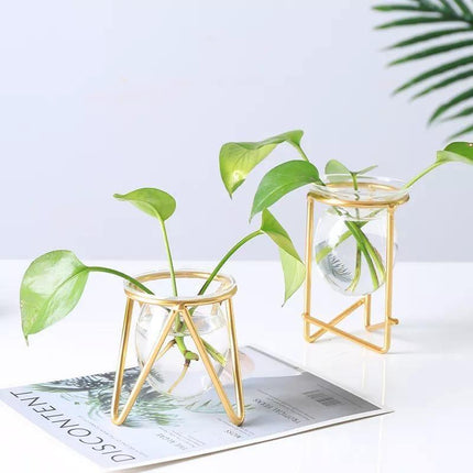 Modern Glass Propagation Vase with Geometric Iron Stand | Transparent Plant Pot | Perfect Desktop Decoration | 7x7x10.5cm | Home Decor | Baby Plant Propagation Vessel | Easy to Clean and Maintain