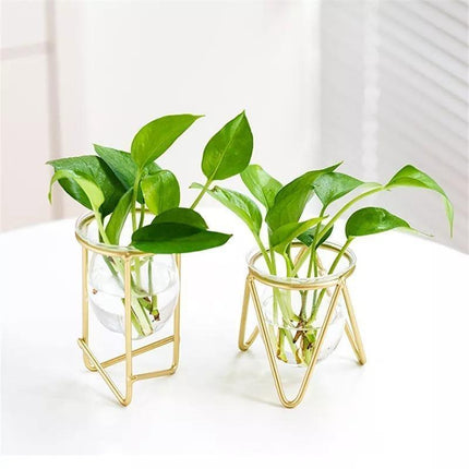 Modern Glass Propagation Vase with Geometric Iron Stand | Transparent Plant Pot | Perfect Desktop Decoration | 7x7x10.5cm | Home Decor | Baby Plant Propagation Vessel | Easy to Clean and Maintain