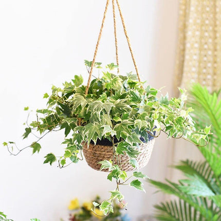 Jute Rope Hanging Planter Basket | Versatile Storage Solution | Modern Minimalist Design | Durable Construction with Waterproof Inner Lining | Diameter 20cm | Total Height 41cm | Indoor & Outdoor Use