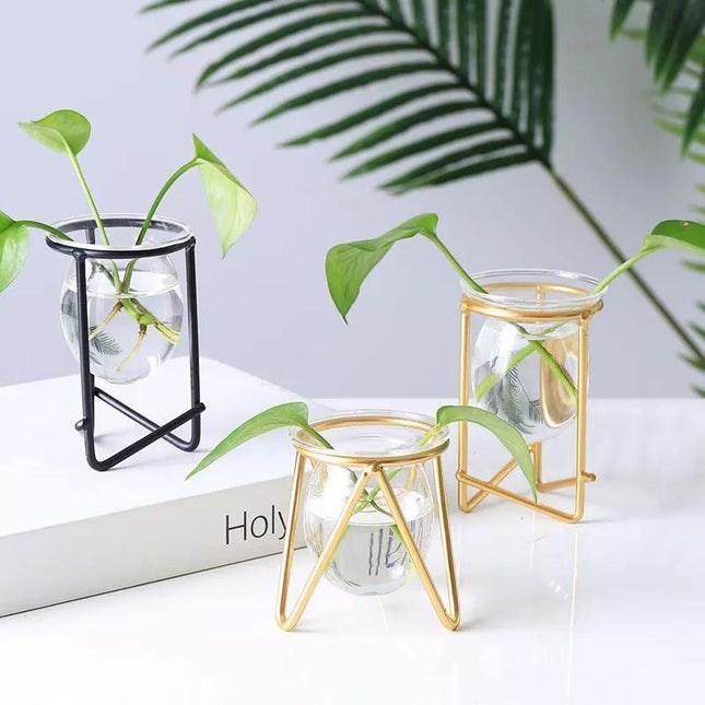 Modern Glass Propagation Vase with Geometric Iron Stand | Transparent Plant Pot | Perfect Desktop Decoration | 7x7x10.5cm | Home Decor | Baby Plant Propagation Vessel | Easy to Clean and Maintain
