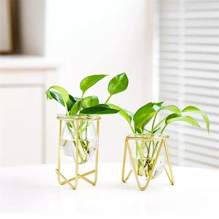 Modern Glass Propagation Vase with Geometric Iron Stand | Transparent Plant Pot | Perfect Desktop Decoration | 7x7x10.5cm | Home Decor | Baby Plant Propagation Vessel | Easy to Clean and Maintain