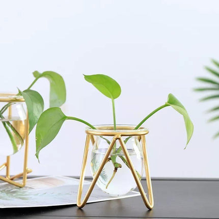 Modern Glass Propagation Vase with Geometric Iron Stand | Transparent Plant Pot | Perfect Desktop Decoration | 7x7x10.5cm | Home Decor | Baby Plant Propagation Vessel | Easy to Clean and Maintain