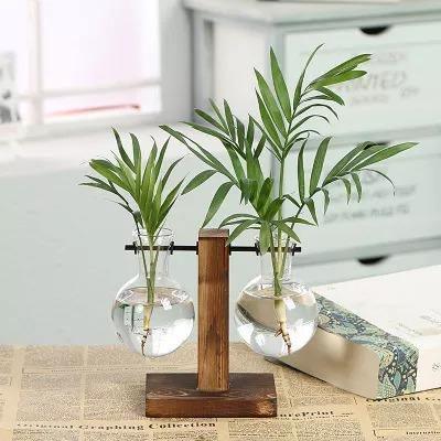 Glass Propagation Vase | Vertical Wooden Stand | 360° View | Decorative Glass Planter for Home Office | Durable Borosilicate Glass | Natural Wood Bracket | Ideal for African Violets and More | Easy Assembly
