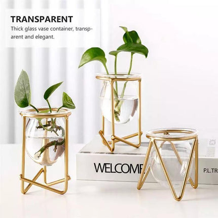 Modern Glass Propagation Vase with Geometric Iron Stand | Transparent Plant Pot | Perfect Desktop Decoration | 7x7x10.5cm | Home Decor | Baby Plant Propagation Vessel | Easy to Clean and Maintain