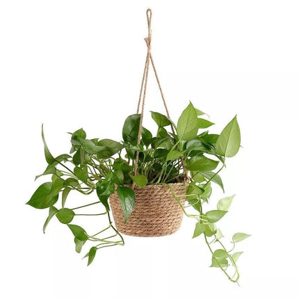 Jute Rope Hanging Planter Basket | Versatile Storage Solution | Modern Minimalist Design | Durable Construction with Waterproof Inner Lining | Diameter 20cm | Total Height 41cm | Indoor & Outdoor Use