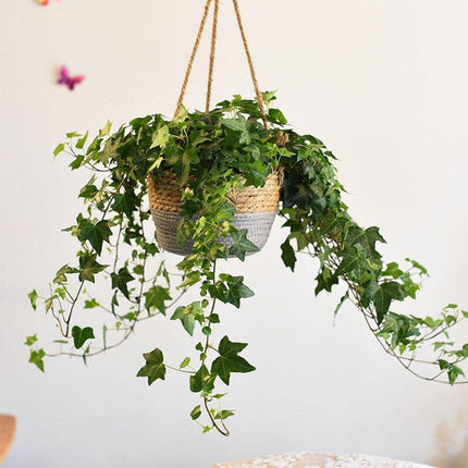 Jute Rope Hanging Planter Basket | Versatile Storage Solution | Modern Minimalist Design | Durable Construction with Waterproof Inner Lining | Diameter 20cm | Total Height 41cm | Indoor & Outdoor Use