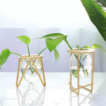 Modern Glass Propagation Vase with Geometric Iron Stand | Transparent Plant Pot | Perfect Desktop Decoration | 7x7x10.5cm | Home Decor | Baby Plant Propagation Vessel | Easy to Clean and Maintain