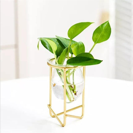 Modern Glass Propagation Vase with Geometric Iron Stand | Transparent Plant Pot | Perfect Desktop Decoration | 7x7x10.5cm | Home Decor | Baby Plant Propagation Vessel | Easy to Clean and Maintain