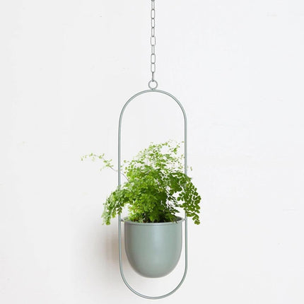 Durable Halo Iron Hanging Planter | Inky Black or Gold | Circular or Oblong Shape | Modern Indoor/Outdoor Decor | Includes Metal Chain & Hardware | Minimalist Design for Plants