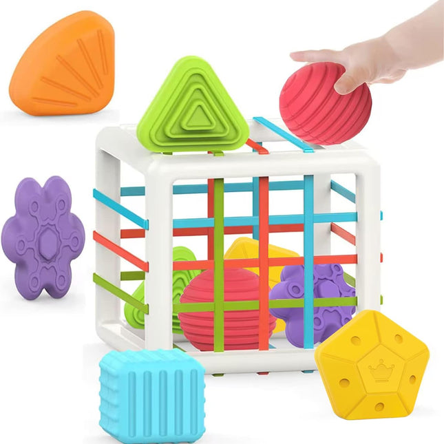 Montessori Sensory Toy | Baby Sorter Cube | Colorful Educational Shapes | Learning & Development | Safe ABS Material | 6 Multi-Textured Blocks for Toddlers | Age 1-2 Years | Ideal Gift for Boys & Girls