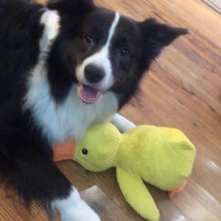 Soft Plush Duck Companion | Anxiety-Reducing Squeaker Toy for Dogs | Calming Cuddly Playmate